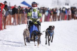 Lenk 2013